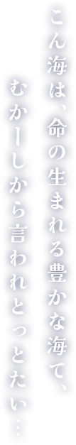 こん海は、命の生まれる豊かな海て、むかーしから言われとっとたい…